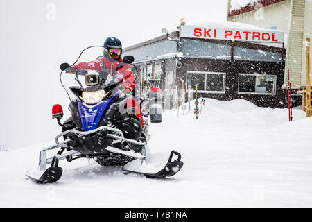 Pattuglia sci ufficiale, Hakuba, Giappone Foto Stock