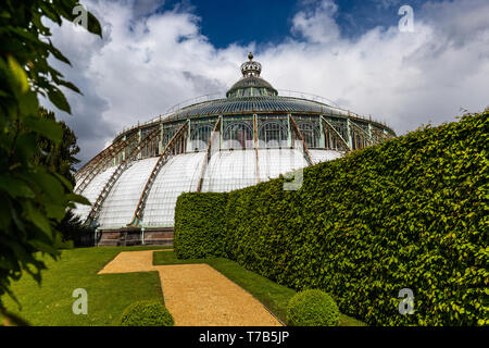 Principale cupola di vetro delle Serre Reali di Laeken a Bruxelles, in Belgio Foto Stock