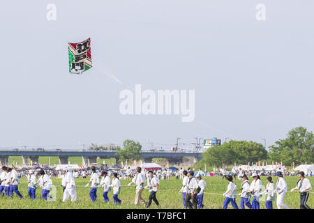 Saitama, Giappone. Il 5 maggio, 2019. Un grande aquilone vola durante il gigante Kite Festival in Kasukabe. I partecipanti hanno volato giganteschi aquiloni (pesa 800 kg, 11 metri di larghezza e 15 metri di altezza) di pregare per un raccolto abbondante di sollevamento del baco da seta. Il festival annuale è stato tenuto dal 1841 e questo anno si terrà il 3 maggio e 5. Kasukabe città ha anche un aquilone museo che ospita 450 vari giapponese ed estero aquiloni. Credito: Rodrigo Reyes Marin/ZUMA filo/Alamy Live News Foto Stock