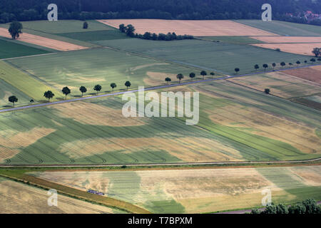 Archiviato - 20 giugno 2018, Bassa Sassonia, Hammenstedt: la foto aerea da un aeroplano mostra danni a secco su un campo di grano nel sud della Bassa Sassonia. Il tasso globale di estinzione delle specie è attualmente dieci per cento volte superiore alla media degli ultimi dieci milioni di anni e continua a salire, secondo il documento sui punti chiave presentata dalla biodiversità mondiale Consiglio IPBES a Parigi il 6 maggio 2019. Per un periodo di tre anni, gli esperti avevano esaminato 15.000 fonti di letteratura e poi riassunti i loro risultati su 40 pagine spaventosa. Presso la maggior parte dei siti, il numero di specie native era già scesa da 20 Foto Stock