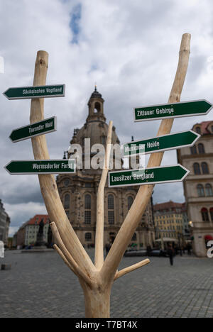 06 maggio 2019, Sassonia, Dresda: un albero con la segnaletica si erge sul Neumarkt davanti alla Frauenkirche. In occasione della 69a riunione del tedesco associazione forestale dal 8 al 12 maggio a Dresda, l'associazione, che difende gli interessi delle foreste e silvicoltura, sta organizzando una foresta mercato qui dal 10 al 12 maggio. Foto: Robert Michael/dpa-Zentralbild/ZB Foto Stock