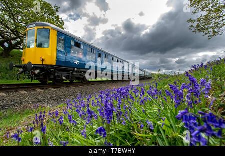 Bury, Lancashire, Regno Unito. Il 6 maggio, 2019. Nuvoloso con tempo freddo su questo lunedì festivo per i visitatori della East Lancashire Railway a Bury, Lancashire. Il volontario eseguire corse ferroviarie un servizio completo sia di vapore e treni diesel passato un tappeto di Bluebells a bave Country Park, Bury. Foto di credito: Paolo Heyes/Alamy Live News Foto Stock