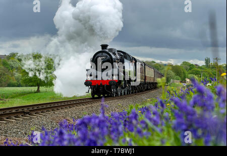 Bury, Lancashire, Regno Unito. Il 6 maggio, 2019. Nuvoloso con tempo freddo su questo lunedì festivo per i visitatori della East Lancashire Railway a Bury, Lancashire. Il volontario eseguire corse ferroviarie un servizio completo sia di vapore e treni diesel passato un tappeto di Bluebells a bave Country Park, Bury. Foto di credito: Paolo Heyes/Alamy Live News Foto Stock