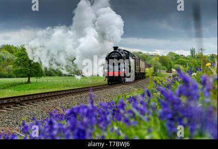 Bury, Lancashire, Regno Unito. Il 6 maggio, 2019. Nuvoloso con tempo freddo su questo lunedì festivo per i visitatori della East Lancashire Railway a Bury, Lancashire. Il volontario eseguire corse ferroviarie un servizio completo sia di vapore e treni diesel passato un tappeto di Bluebells a bave Country Park, Bury. Foto di credito: Paolo Heyes/Alamy Live News Foto Stock