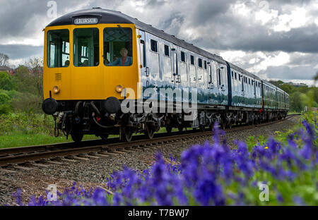 Bury, Lancashire, Regno Unito. Il 6 maggio, 2019. Nuvoloso con tempo freddo su questo lunedì festivo per i visitatori della East Lancashire Railway a Bury, Lancashire. Il volontario eseguire corse ferroviarie un servizio completo sia di vapore e treni diesel passato un tappeto di Bluebells a bave Country Park, Bury. Foto di credito: Paolo Heyes/Alamy Live News Foto Stock