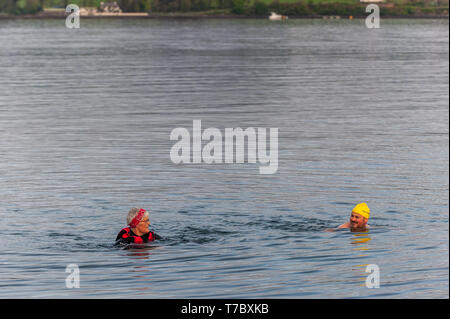 Bantry, West Cork, Irlanda. Il 6 maggio, 2019. Nuotatori del 'Snavata guarnizioni' nuoto club ha preso per l'acqua questa mattina per una banca vacanza nuotare. La giornata è iniziata fuori scialbo e nuvoloso ma non vi sono state le magie di sole durante tutto il giorno. Credito: Andy Gibson/Alamy Live News. Foto Stock