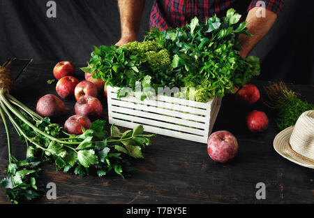 Contadino con appena raccolto erbe in una scatola di legno garvesting concept Foto Stock