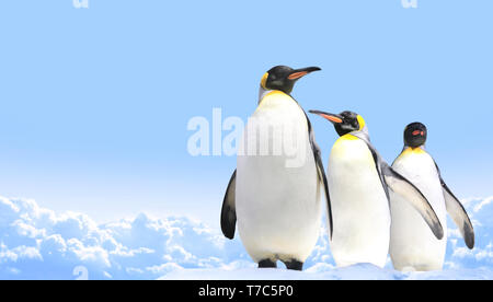 Banner orizzontale con tre pinguini imperatore sul cielo blu sullo sfondo. Copia spazio per il testo. Mock up modello Foto Stock