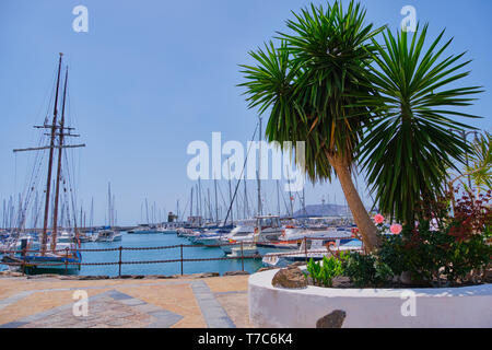 Playa Blanca, Lanzarote, Spagna - 29 Aprile 2019: yacht barche in ormeggio Rubicone Porto di Playa Blanca. Le isole Canarie sono molto popolari holiday destinat Foto Stock