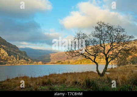 Llyn Gwynant lago su una soleggiata giornata invernale Foto Stock