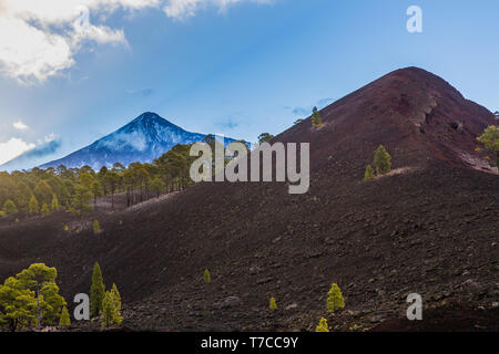 Pico del Teide è la vetta più alta in Spagna. La sua altezza è di circa 7.500 m, 3.718 m sopra il livello del mare. Tenerife, Isole Canarie, Spagna Foto Stock