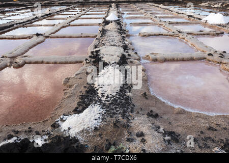 Miniera di sale di Los Cocoteros a Lanzarote, Spagna Foto Stock