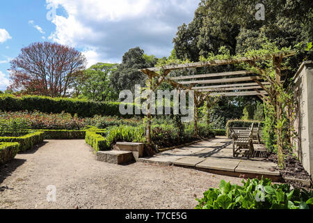 Il Giardino delle Rose, Mount Edgcumbe Country Park, Sud Est della Cornovaglia Foto Stock