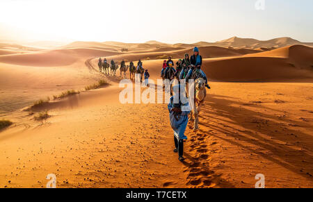 Merzouga, Marocco - Maggio 02, 2019: Caravan camminando in Merzouga deserto del Sahara in Marocco Foto Stock
