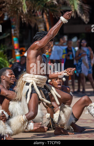 Zulu ballerini culturali mostrare la loro passione e si sposta al waterfront a Durban, Sud Africa. Foto Stock