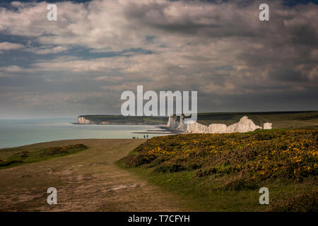 Le sette sorelle chalk cliffs in East Sussex, Regno Unito Foto Stock