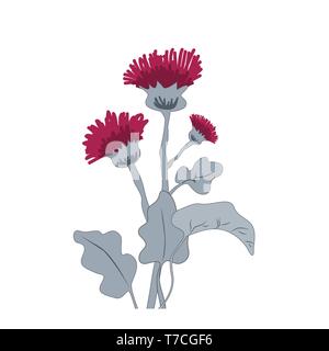 Thistle o fiori di bardana. Cartoon thistle isolato su bianco, illustrazione vettoriale Illustrazione Vettoriale