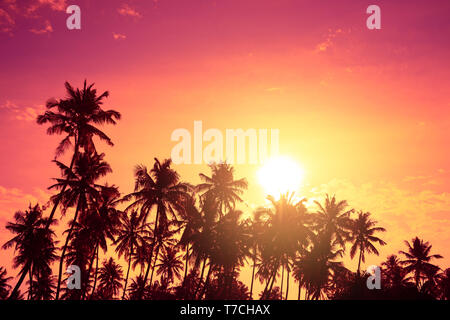 Alberi di palma tropicali sagome al tramonto. Vivace spiaggia tropicale tramonto con grande caldo sole sull isola di vacanza. Foto Stock