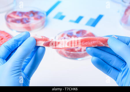 Rosso fresco campione di carne nelle mani dello scienziato in laboratorio. Foto Stock