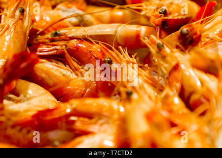 Primo piano dei freschi scampi di grandi dimensioni sul mercato Foto Stock