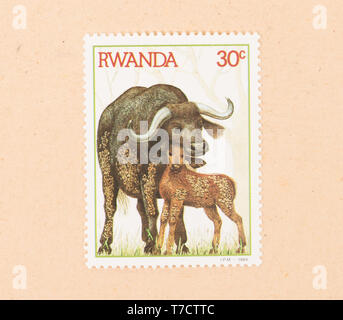 Ruanda - circa 1984: un timbro stampato in Ruanda mostra una waterbuffalo con un giovane, circa 1984 Foto Stock