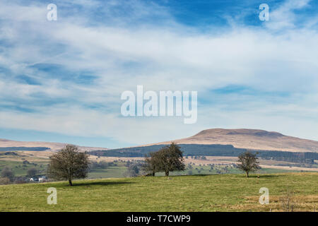 La gamma della montagna a inizio primavera in Brecon Beacons, South Wales, Regno Unito Foto Stock