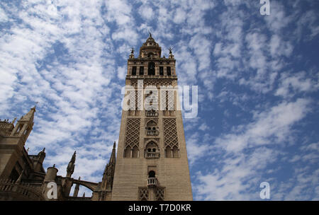 Spagna. Andalusia. Siviglia. La torre Giralda, antico minareto della Grande Moschea. Almohade stile. Xii secolo. Cattedrale di Siviglia. Foto Stock