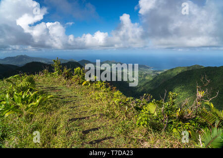 Wanderweg im Morne Trois Pitons Nationalpark und die Ostküste von Dominica, Karibik, Mittelamerika | Parco nazionale Morne Trois Pitons sentiero escursionistico Foto Stock