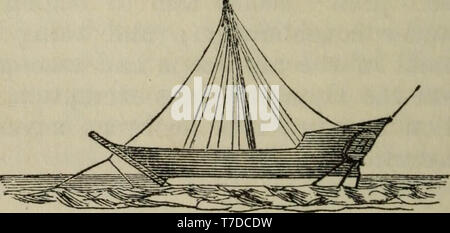 "Le gare di uomo e la loro distribuzione geografica" (1854) Foto Stock