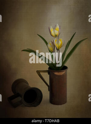 Tulip in rame antico cup Foto Stock