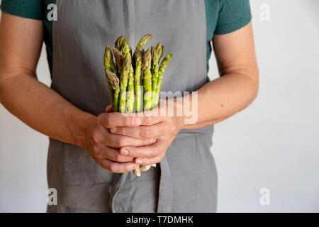 Uomo in grigio grembiule prima di sfondo bianco tenendo un mazzo di asparagi verdi nelle sue mani con spazio di copia Foto Stock
