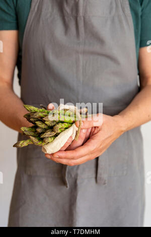Uomo in grigio grembiule prima di sfondo bianco tenendo un fascio di asparago verde avvolto in un asciugamano nelle sue mani Foto Stock
