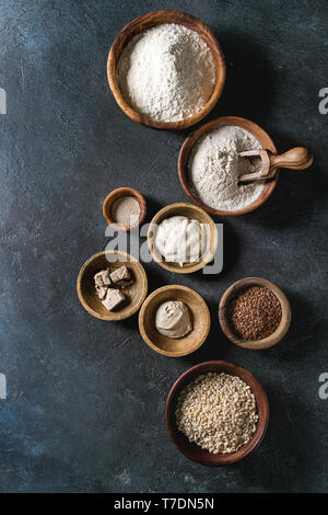 Ingredienti per la cottura del pane. Varietà di farine di frumento e di segala, grani, lievito, sourdough su blu scuro dello sfondo texture. Laici piana, spazio Foto Stock