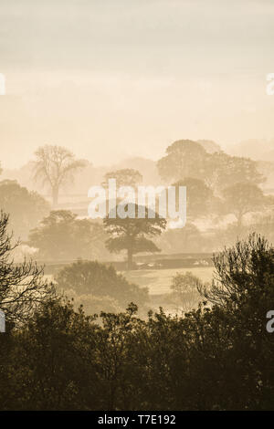 Aeron valley, Ceredigion, West Wales UK. Martedì 07 Maggio 2019 UK Meteo: Early Morning mist riempie la valle Aeron, nelle zone rurali del Galles occidentale, su un luminoso può mattina. Photo credit: Keith Morris/Alamy Live News Foto Stock