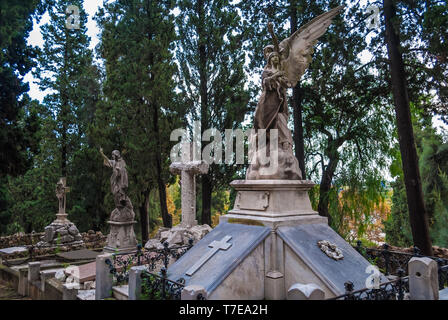 Molte tombe con sculture sullo sfondo degli alberi del cimitero di Montjuic nel giorno nuvoloso, Barcellona, in Catalogna, Spagna Foto Stock