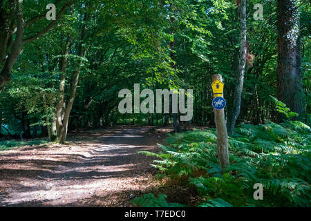 Segno parco nazionale zona centrale, la Pomerania occidentale Area Laguna National Park, Fischland-Darss-Zingst, Meclemburgo-Pomerania Occidentale, Germania, Europa Foto Stock