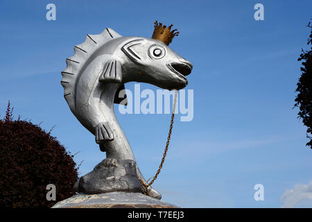 Stint stallone, Mikolajki, Lago Talty, Warmia Masuria - Polonia Foto Stock