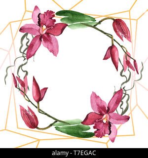 Marsala orchid floreale di fiori botanica. Wild molla a balestra di fiori selvaggi isolati. Acquerello illustrazione dello sfondo impostato. Disegno ad acquerello fashion aqu Foto Stock
