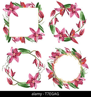 Marsala orchid floreale di fiori botanica. Wild molla a balestra di fiori selvaggi isolati. Acquerello illustrazione dello sfondo impostato. Disegno ad acquerello fashion aqu Foto Stock