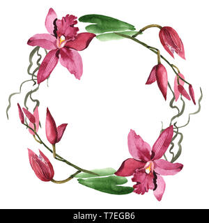 Marsala orchid floreale di fiori botanica. Wild molla a balestra di fiori selvaggi isolati. Acquerello illustrazione dello sfondo impostato. Disegno ad acquerello fashion aqu Foto Stock