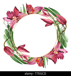 Marsala orchid floreale di fiori botanica. Wild molla a balestra di fiori selvaggi isolati. Acquerello illustrazione dello sfondo impostato. Disegno ad acquerello fashion aqu Foto Stock