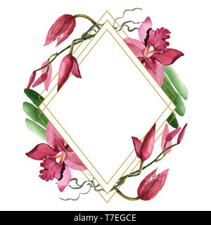 Marsala orchid floreale di fiori botanica. Wild molla a balestra di fiori selvaggi isolati. Acquerello illustrazione dello sfondo impostato. Disegno ad acquerello fashion aqu Foto Stock