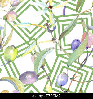 Olive Branch con frutta verde. Acquerello illustrazione dello sfondo impostato. Disegno ad acquerello fashion aquarelle isolato. Perfetta configurazione di sfondo. Fa Foto Stock