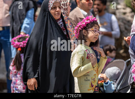 Niasar, Iran, 25 Aprile 2019: giovani iraniani la Dama con fiori, che li vendono per la passbyers durante la rosa stagione di raccolta Foto Stock