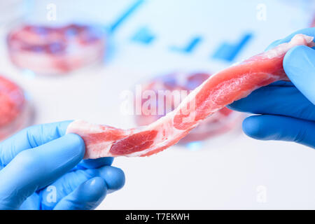 Fetta di carne di ispezione. Laboratorio artificiale cresciuto il concetto di carne. Foto Stock