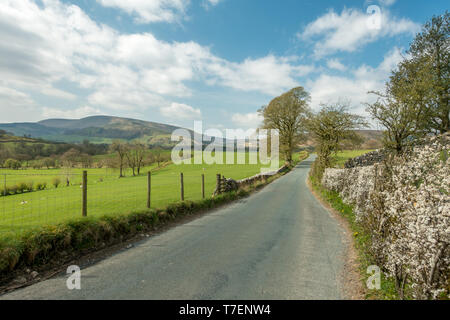 Il pittoresco paesaggio del B6478 Vicolo del paese tra il Newton-in-Bowland e Ponte Dunsop, foresta di Bowland Foto Stock