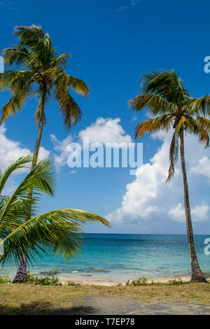 Spratto Spiaggia Hall, St. Croix, Isole Vergini americane. Foto Stock