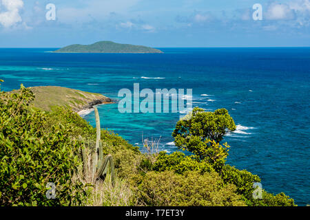 Punto Udall con Buck Island in background, St. Croix, Isole Vergini americane. Foto Stock