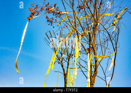 Albero secco con il giallo ribbin su di esso nel cielo aperto. Foto Stock