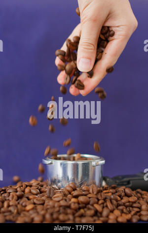 Femmina colata a mano i chicchi di caffè nel caffè Tamper sullo sfondo viola Foto Stock